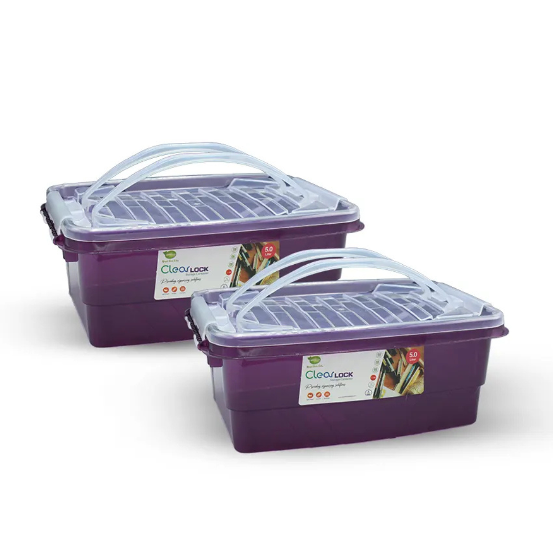 Clear Lock Storage Box 